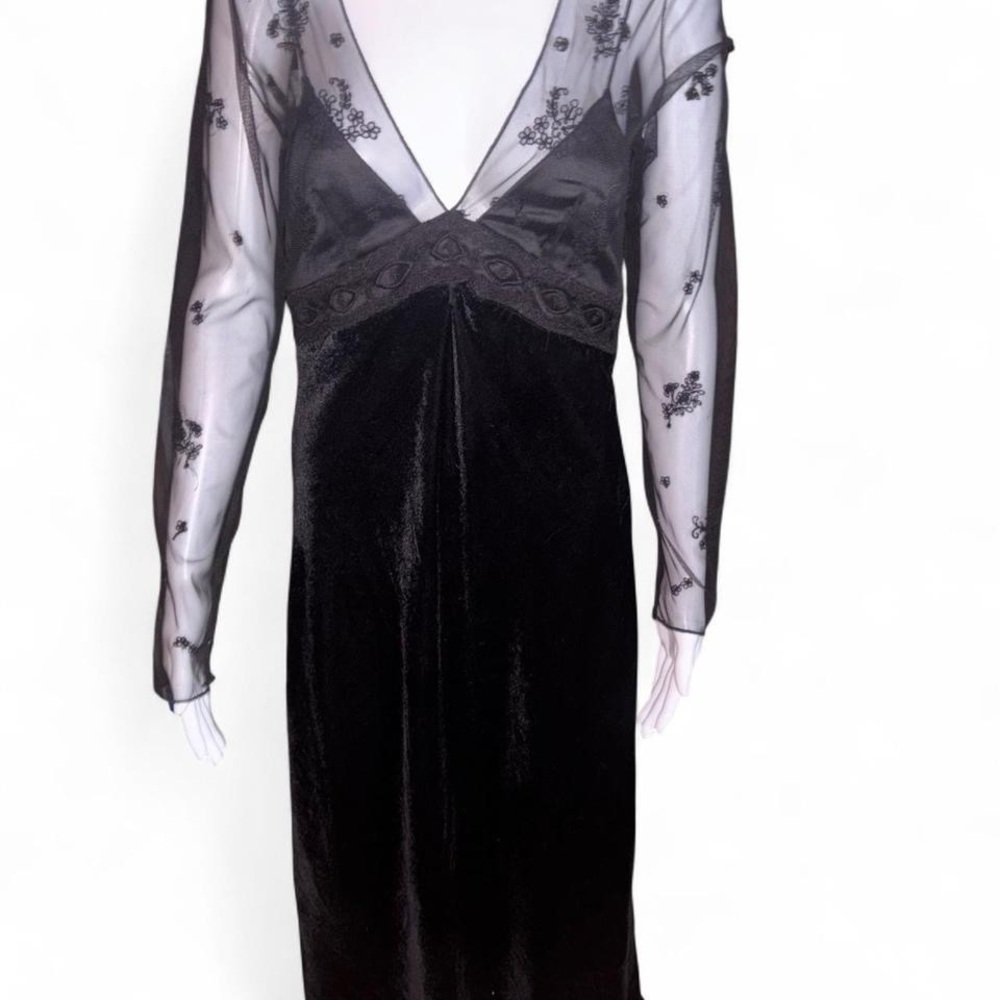 Zara Black Velvet Dress with Sheer Embroidered Sleeves